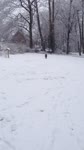 mov_2013-03-25 08.58.25.mov